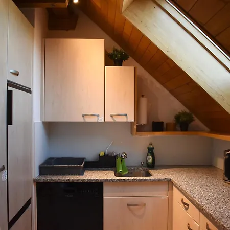 The Building 6 Loft Apartment Spiez Exterior photo
