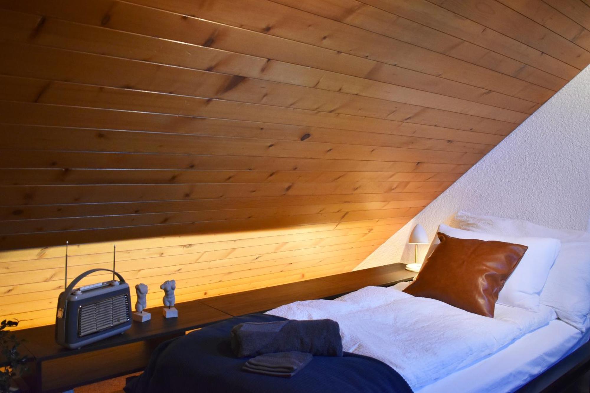The Building 6 Loft Apartment Spiez
